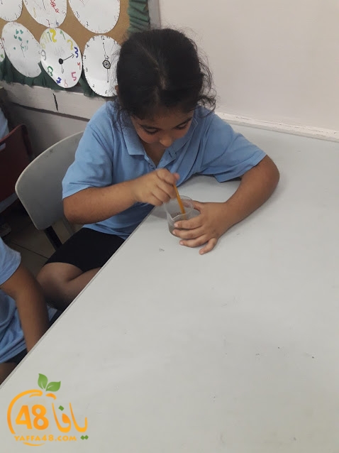 cimikal day (35).jpg